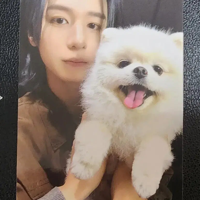 [BUNJANG] BOYNEXTDOOR Leehan POB Photocard / 보이넥스트도어 이한 특전 포카