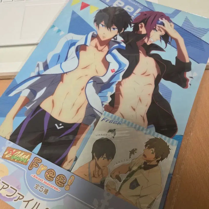 [BUNJANG] Free! Rin Matsuoka &amp; Haruka Nanase L-Sized File Set (Sealed) / Free! 프리 L자 파일 세트 미개봉