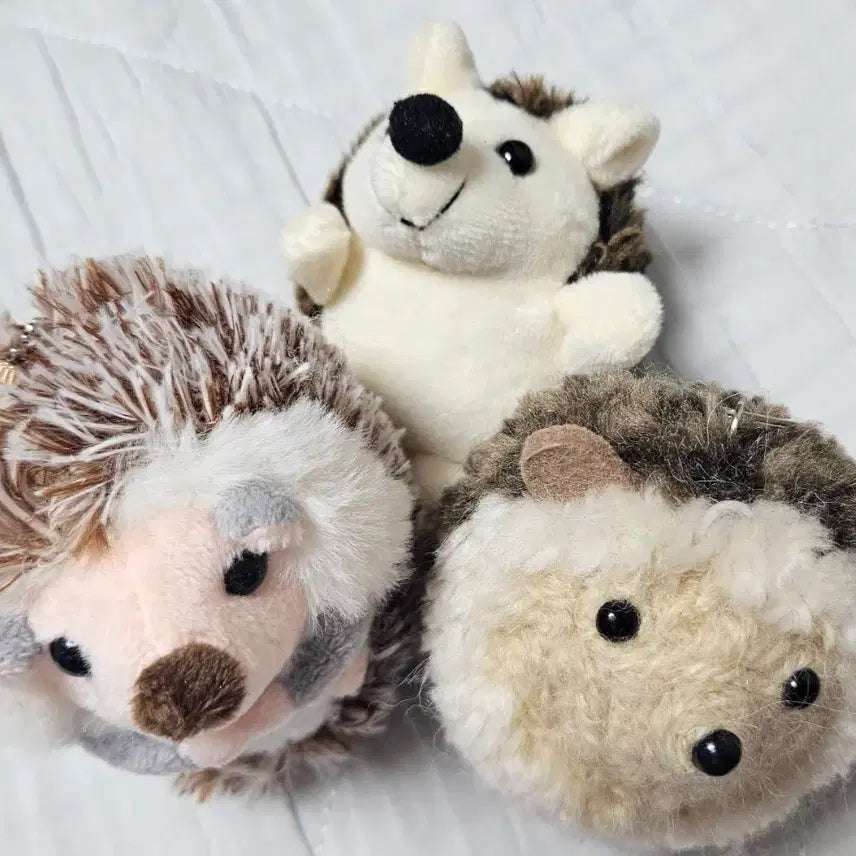 [BUNJANG] Hedgehog Plush Doll / 고슴도치 인형 판매