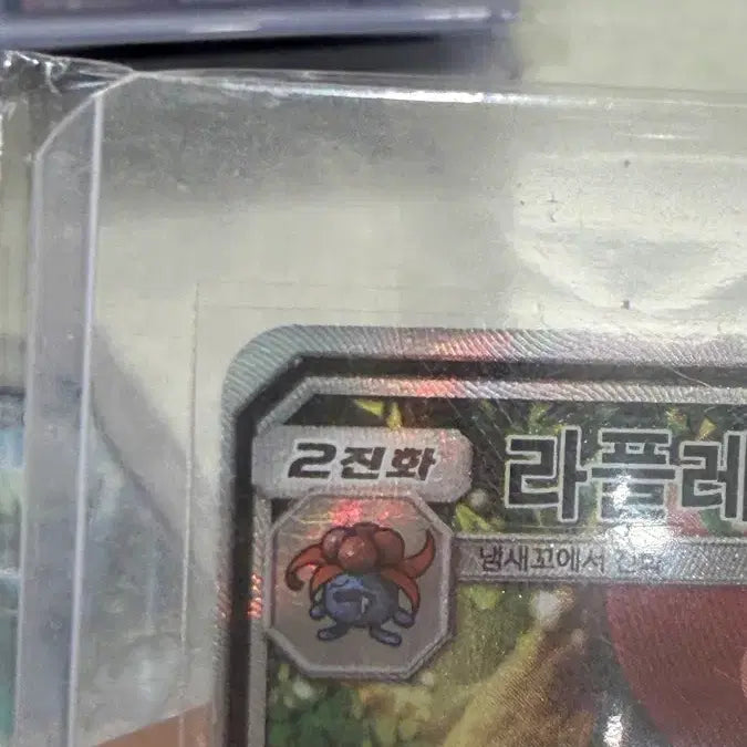 [SOLD OUT] 포켓몬카드 라플레시아 GX 특일
