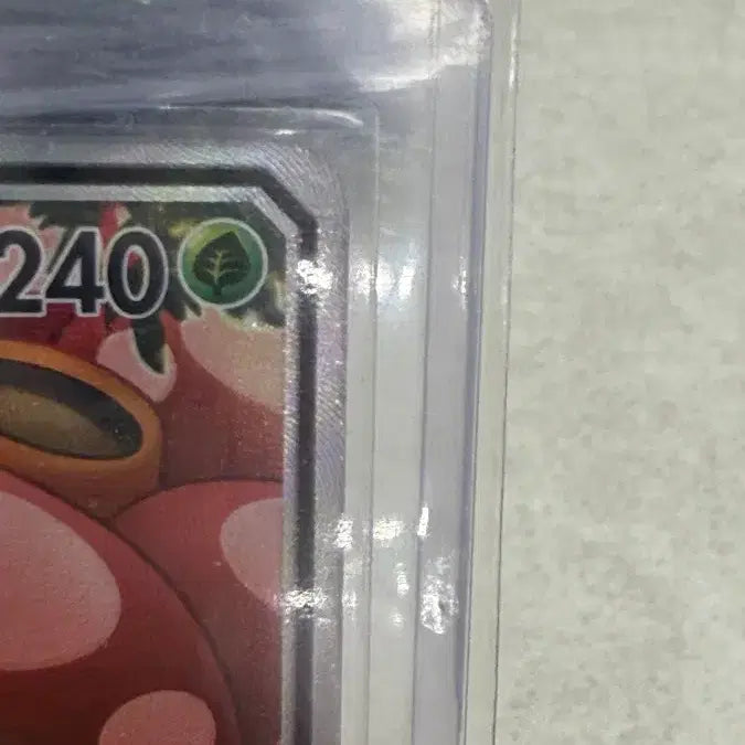 [SOLD OUT] 포켓몬카드 라플레시아 GX 특일