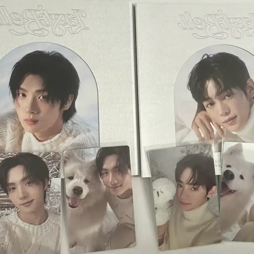[SOLD OUT] 급처)투어스 앨범+포카 일괄
