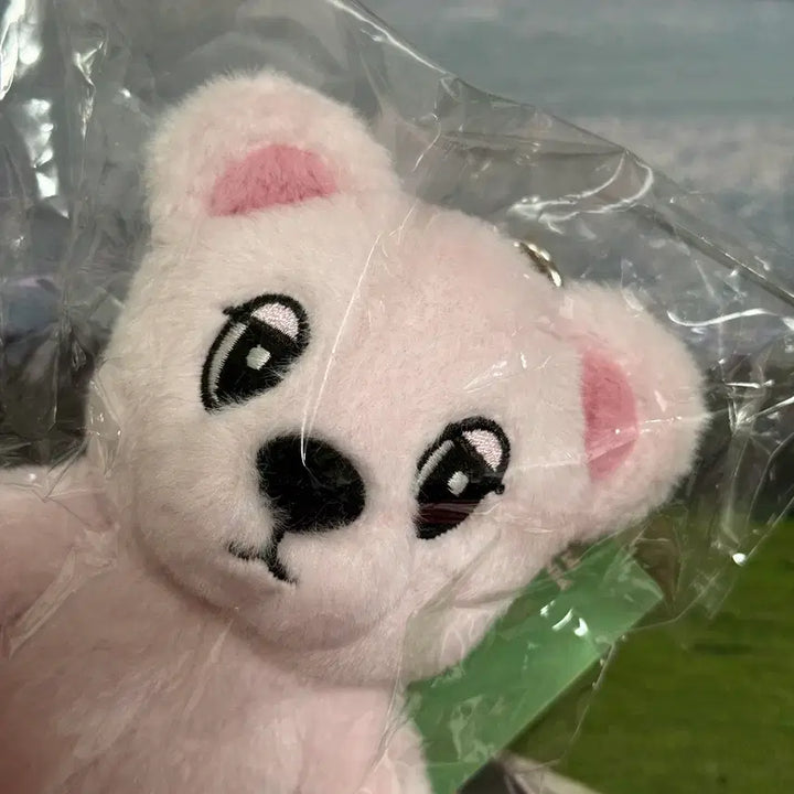 [SOLD OUT] [판매] 핑크 욱동이 봉제인형 키링 미개봉 원가양도
