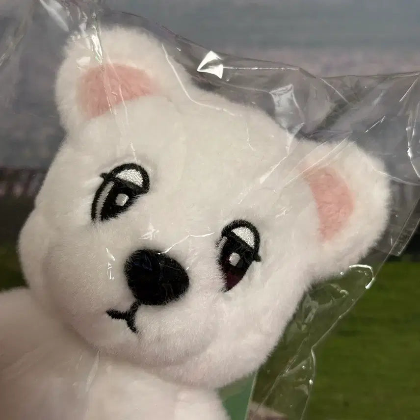 [SOLD OUT] [판매] 욱동이 봉제인형 키링 미개봉 원가양도