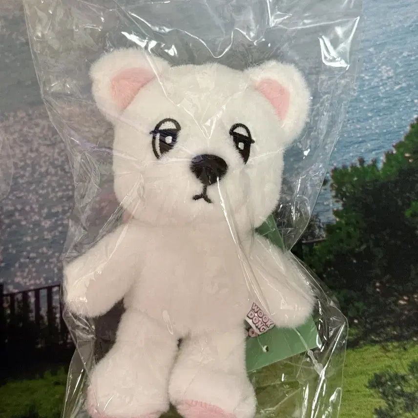 [SOLD OUT] [판매] 욱동이 봉제인형 키링 미개봉 원가양도