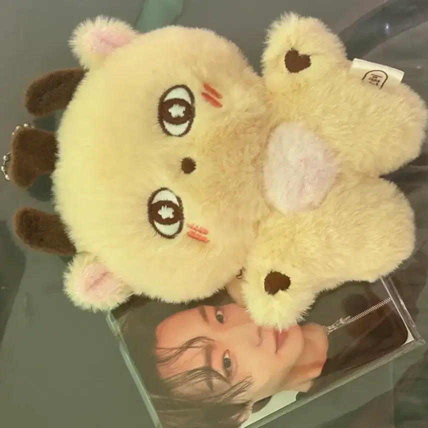 [SOLD OUT] 배우 박지훈 공식 인형 소심이 판매