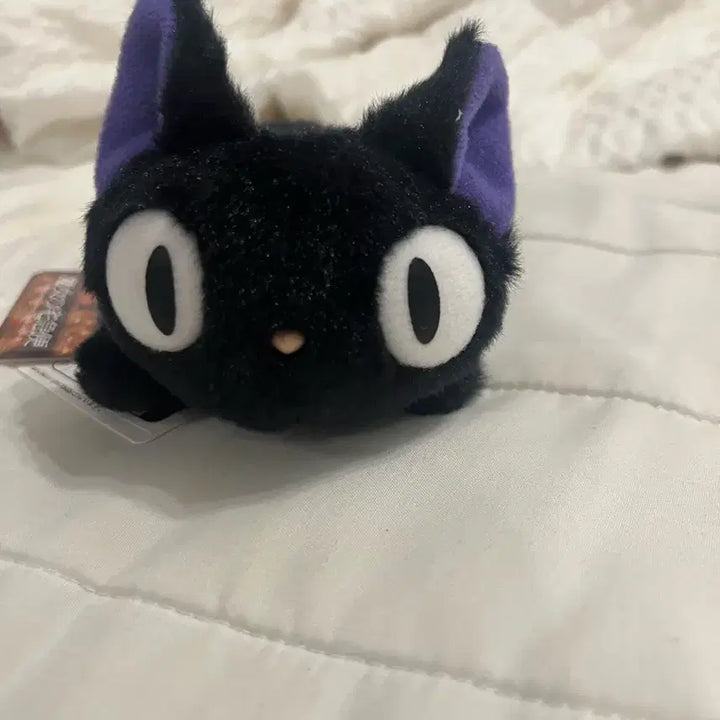 [BUNJANG] Studio Ghibli Kiki&