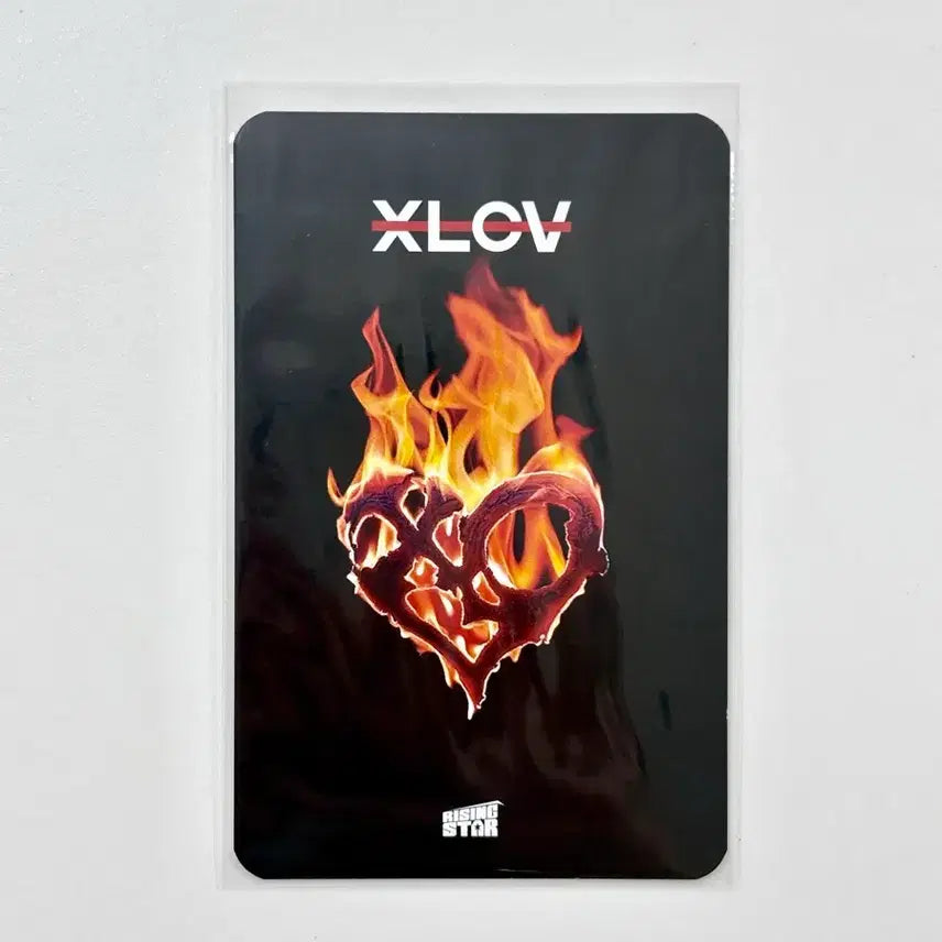 [BUNJANG] XLOV HARU Fan Meeting POB Photocard / XLOV 엑스러브 HARU 하루 팬미팅 특전 포카
