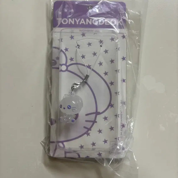 [BUNJANG] RIIZE Popup Resin Keychain Wonbin Toyangdeok / 새상품) 라이즈 팝업 레진 키링 원빈 토냥덕