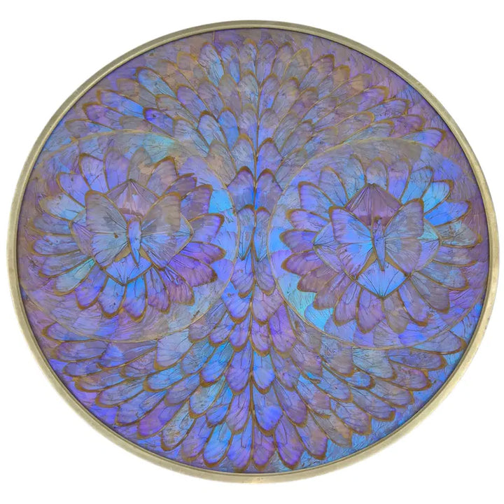 [BUNJANG] 1960-70s "Morpho Butterfly" Oversized Art Frame by Bimolbras / 70s 브라질 모르포 나비 앤틱 특대형 아트 액자