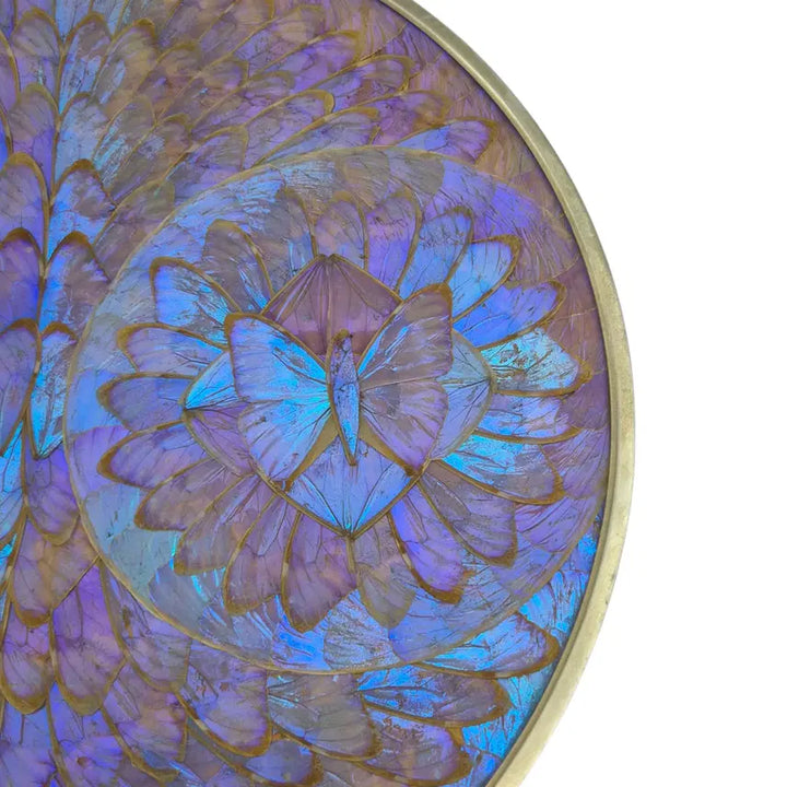 [BUNJANG] 1960-70s "Morpho Butterfly" Oversized Art Frame by Bimolbras / 70s 브라질 모르포 나비 앤틱 특대형 아트 액자