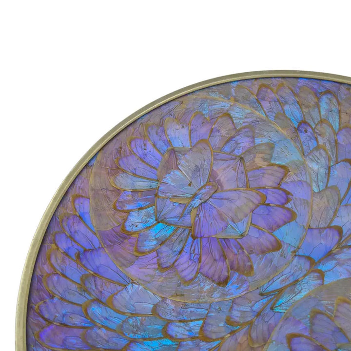 [BUNJANG] 1960-70s "Morpho Butterfly" Oversized Art Frame by Bimolbras / 70s 브라질 모르포 나비 앤틱 특대형 아트 액자
