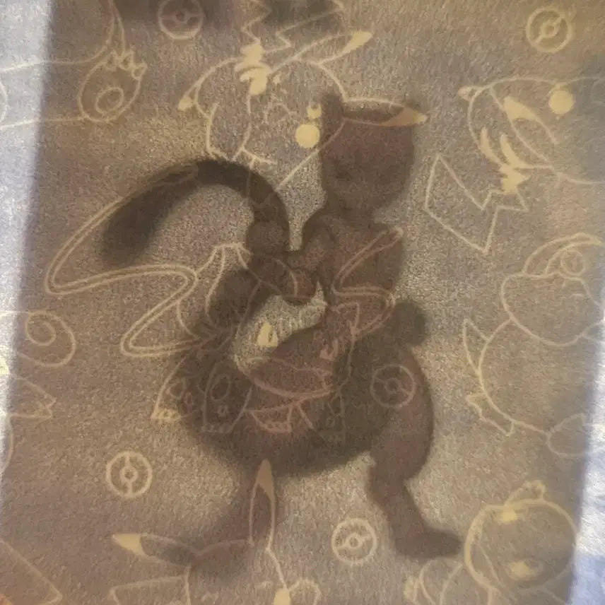 [BUNJANG] Mewtwo Sticker / 뮤츠 띠부실 ㅍㅁ(급처)