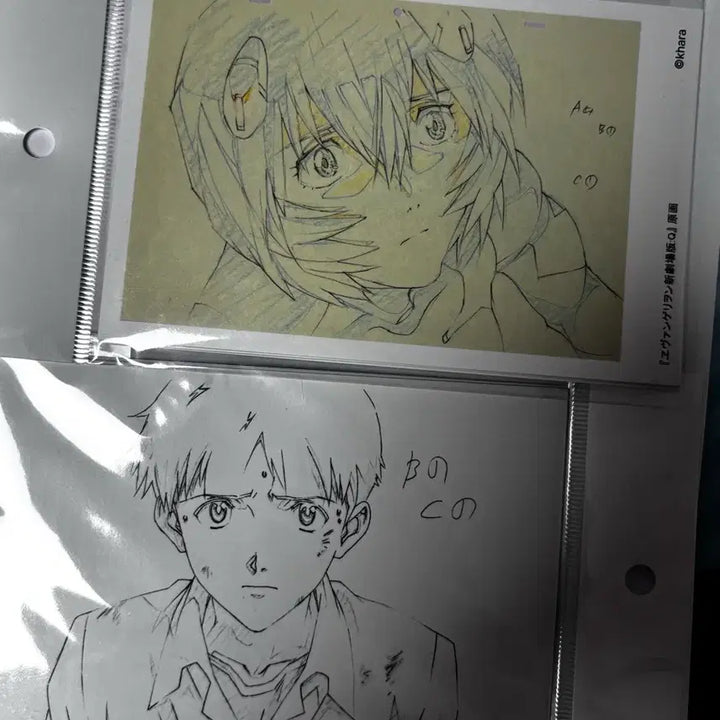 [BUNJANG] Evangelion Exhibition Postcard Set (Unsealed) / 에반게리온 선 전시회 엽서 미개봉(일괄가격아님)