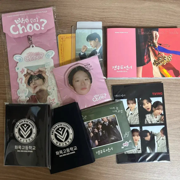 [BUNJANG] Choo Young Woo Asia Fan Meeting Tour &