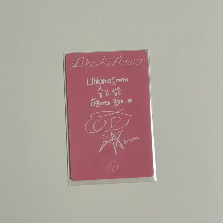 [SOLD OUT] 아이린 like a flower 케이스버전 포카