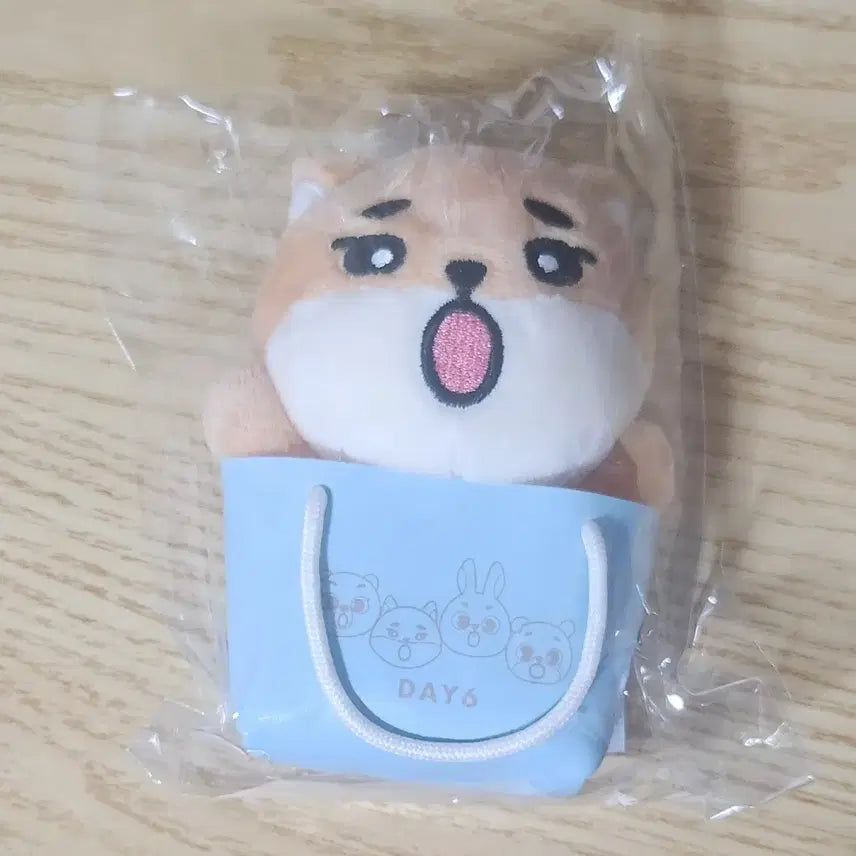 [SOLD OUT] 데이식스 일본콘 백참 영케이
