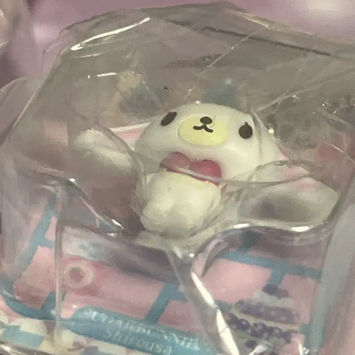 [SOLD OUT] 산리오 슈가바니즈 시로우사 쿠로우사 패키지 가챠 미니어쳐 컬렉션
