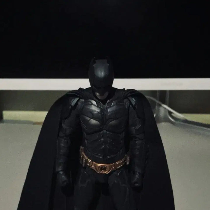 [BUNJANG] Inart Dark Knight Batman &amp; Remad Bane Bundle / 인아트 다크나이트 배트맨,Remad 베인 묶음판매