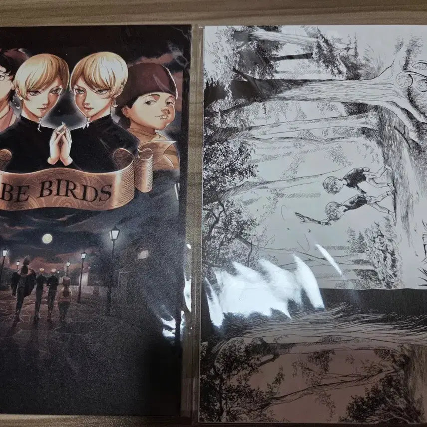 [SOLD OUT] 미기와 다리 블루레이 1,2권 원서 만화책 일괄 blu-ray