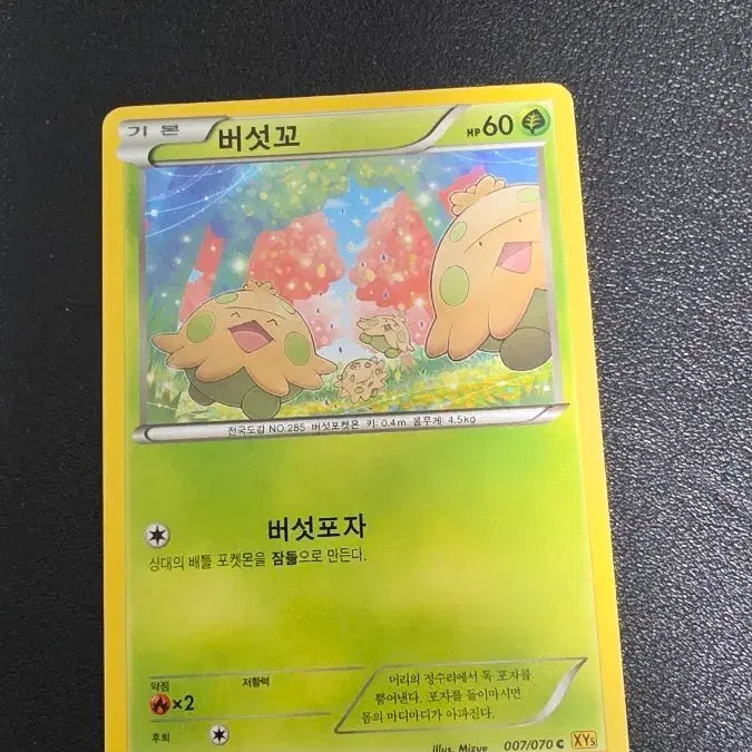[BUNJANG] Pokemon Card Shroomish XY5 007 / 포켓몬 카드 버섯꼬 xy5 007