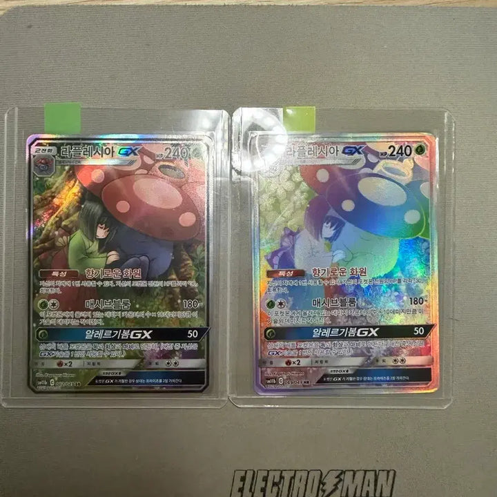 [BUNJANG] Pokemon Card Raichu GX Special Foil &amp; HR Bundle Set / 포켓몬카드 라플레시아 gx 특일 &amp; hr 일괄