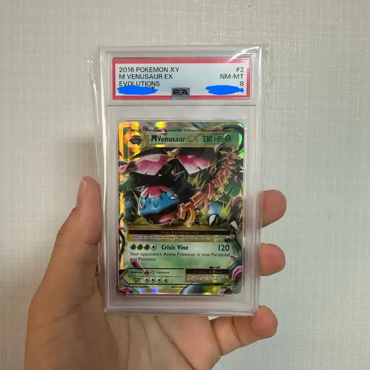 [BUNJANG] Pokemon TCG Meganium EX RHE Evolutions Mega Venusaur Box PSA 8 (English Version) / [PSA8] M 이상해꽃 EX RHE 에볼루션즈 (영문판)