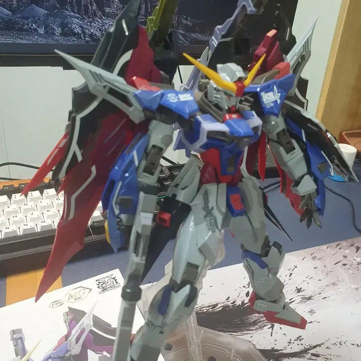 [BUNJANG] Daban Destiny Gundam MG Model Kit / 다반 데스티니 건담 mg사이즈
