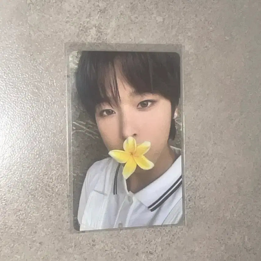 [BUNJANG] NCT WISH Riku Surf Photocard / 엔시티 위시 리쿠 써프 포카 양도 하자X