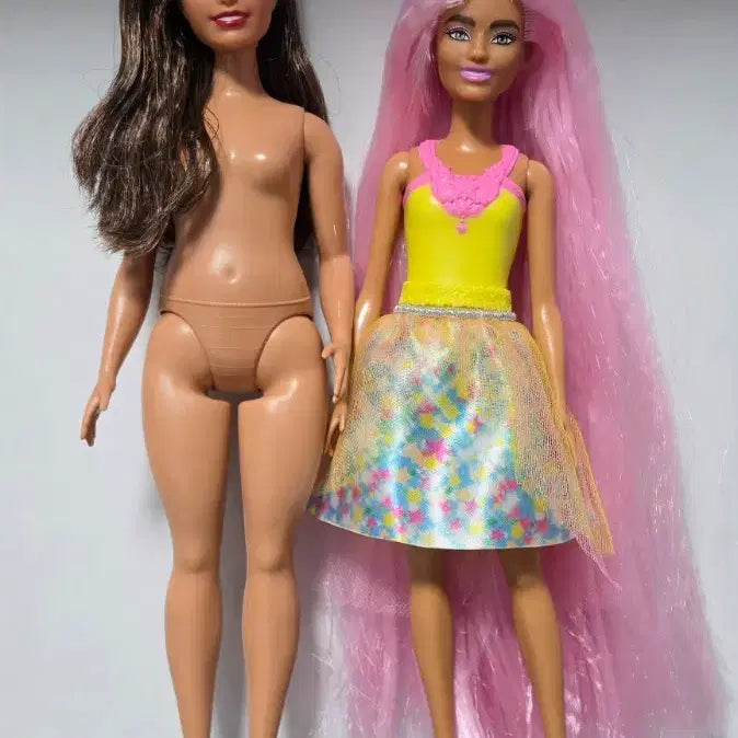 [BUNJANG] Barbie Extra Fashionista Fairy Doll Set / 바비 바비인형 엑스트라 패셔니스타 페어리 4체 일괄판매 양도