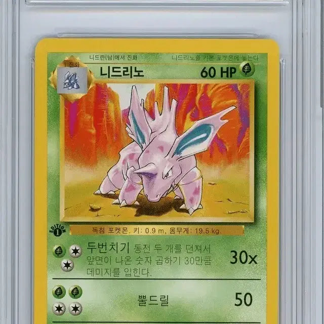 [BUNJANG] Pokemon Nidoking 1st Edition / 포켓몬카드 니드리노 초판 퍼스트에디션