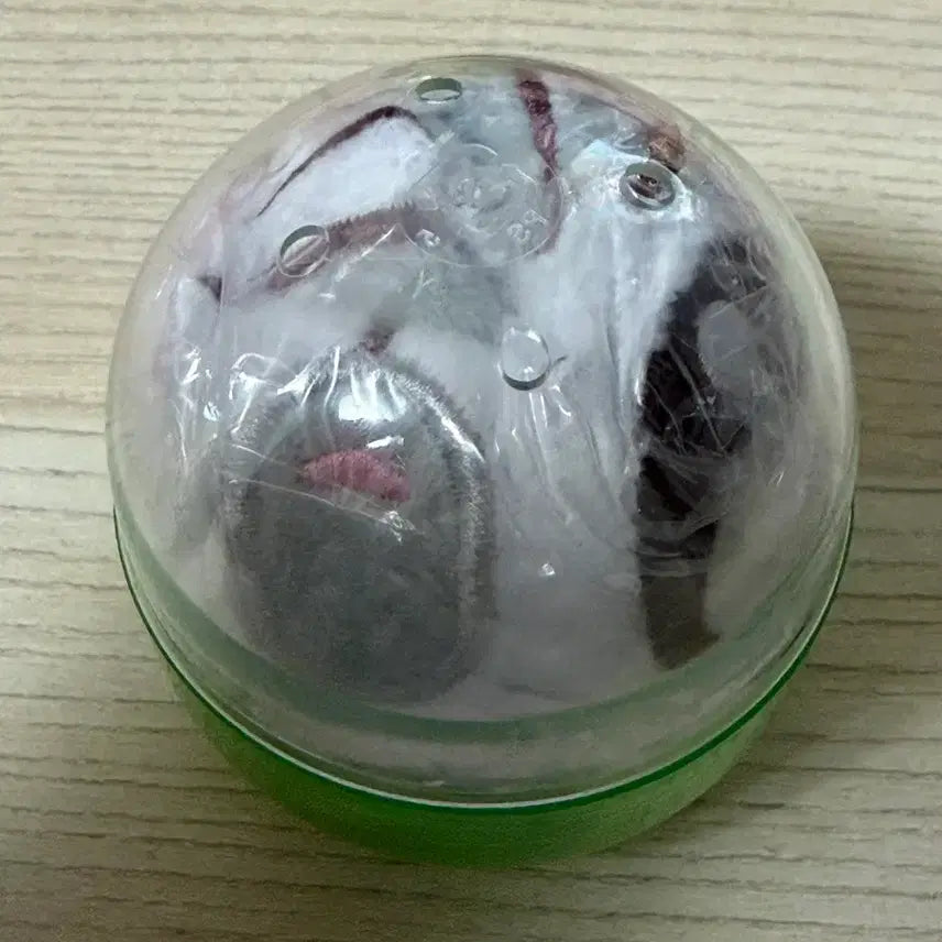 [BUNJANG] Hamutaro Bag Gacha / 햄토리 가방 가챠