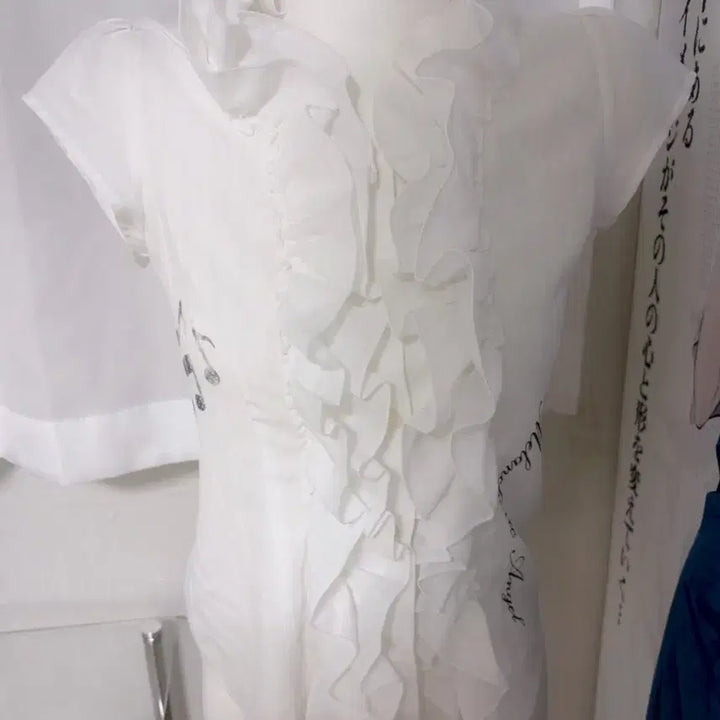 [BUNJANG] Frill Short Sleeve Blouse / 히메갸루 라떼갸루 로걀 달천깔 핀터 프릴 블라우스 페어리 공겜여주