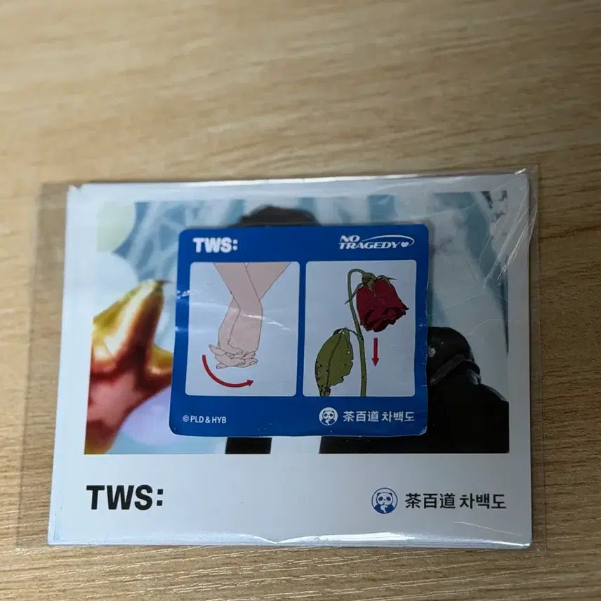 [BUNJANG] TWS Dohyun Cha Postcard Set / TWS 투어스 차백도 엽서 세트
