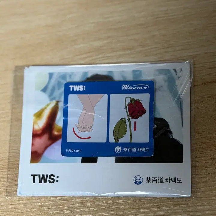 [BUNJANG] TWS Dohyun Cha Postcard Set / TWS 투어스 차백도 엽서 세트