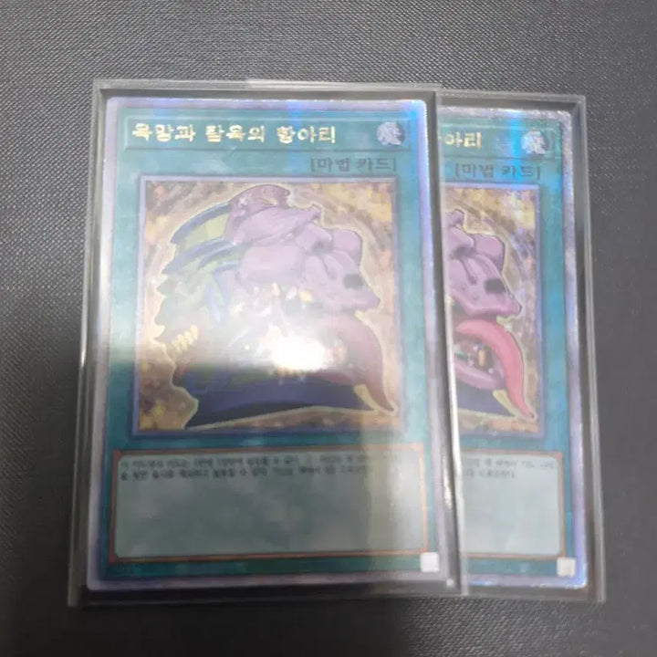 [BUNJANG] Yu-Gi-Oh! Pot of Desires Quarter Century Secret Rare / 유희왕 욕망과 탐욕의 항아리 쿼싴