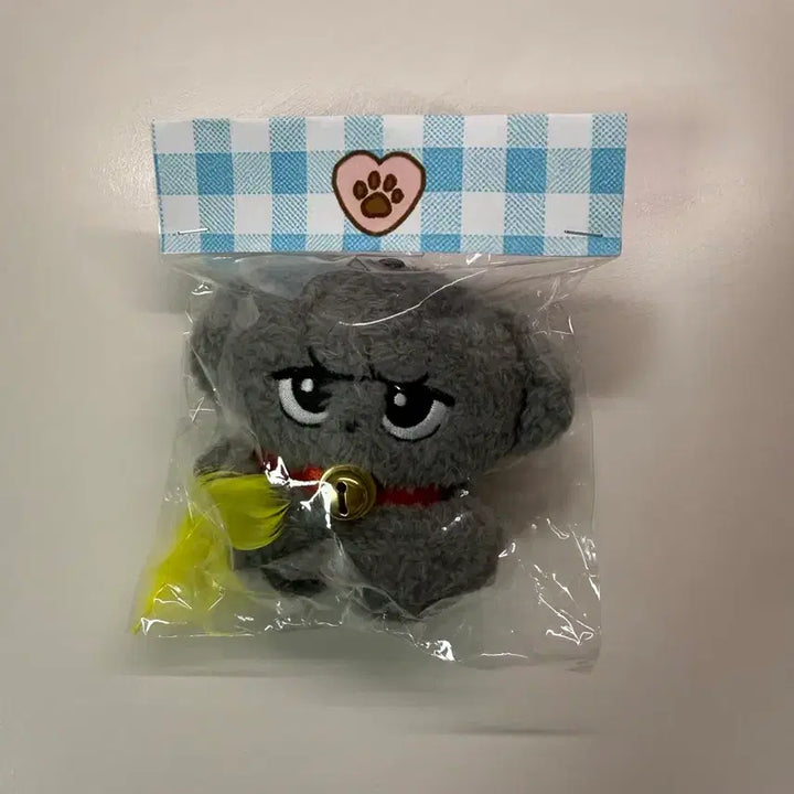 [BUNJANG] Stray Kids Changbin Birthday Goods Doll / 스트레이키즈 창빈 생카 인형