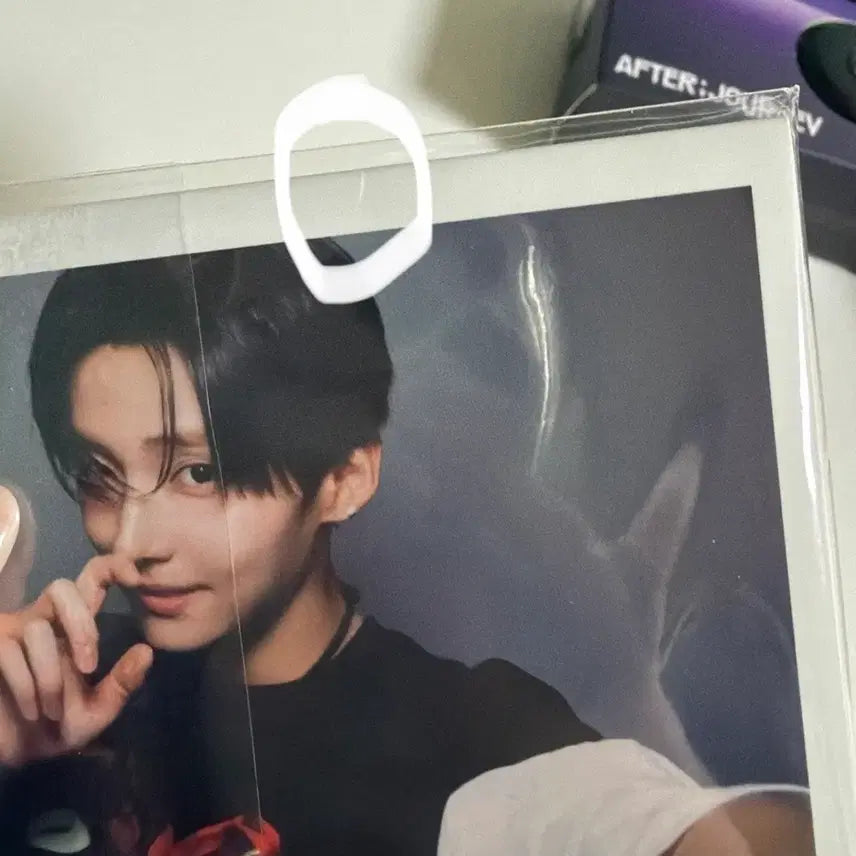 [BUNJANG] Aldiwon Bopal2 Lee Sangwon Film Camera Photocard Set / 알디원 보플2 이상원 필름카메라 포토 포카세트