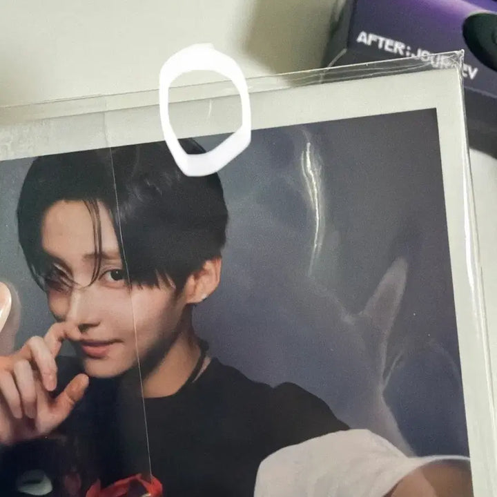 [BUNJANG] Aldiwon Bopal2 Lee Sangwon Film Camera Photocard Set / 알디원 보플2 이상원 필름카메라 포토 포카세트