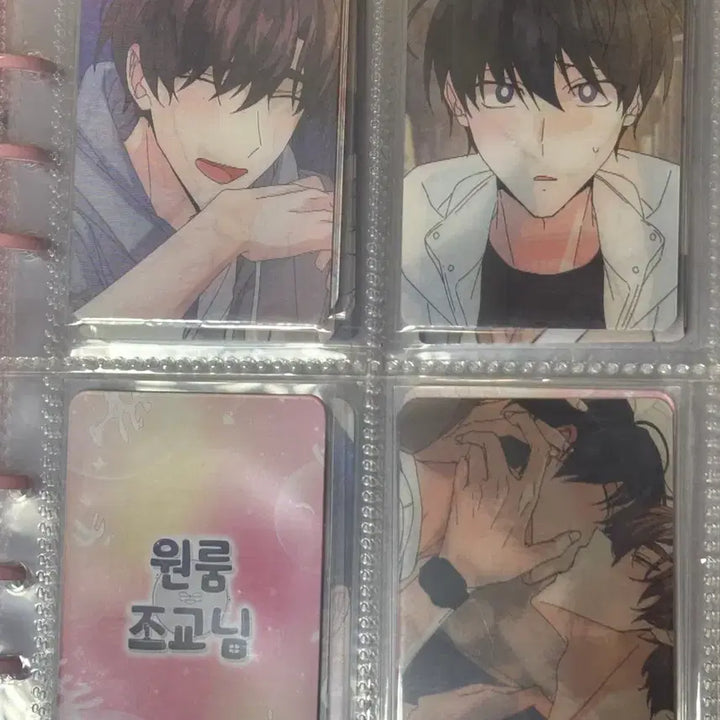 [BUNJANG] Special Applicant Lenticular Photocard Monthly Photocard Bundle Set / 신혼부부특별전형 신특 렌티큘러 포카 월간포카