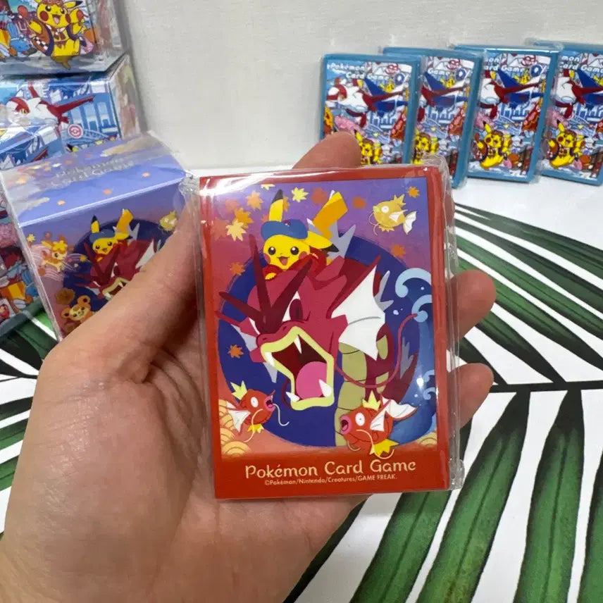 [BUNJANG] Pokemon Fukuoka Hiroshima Limited Edition Deck Case and Sleeve Set / 포켓몬 후쿠오카, 히로시마 덱케이스 및 슬리브 세트