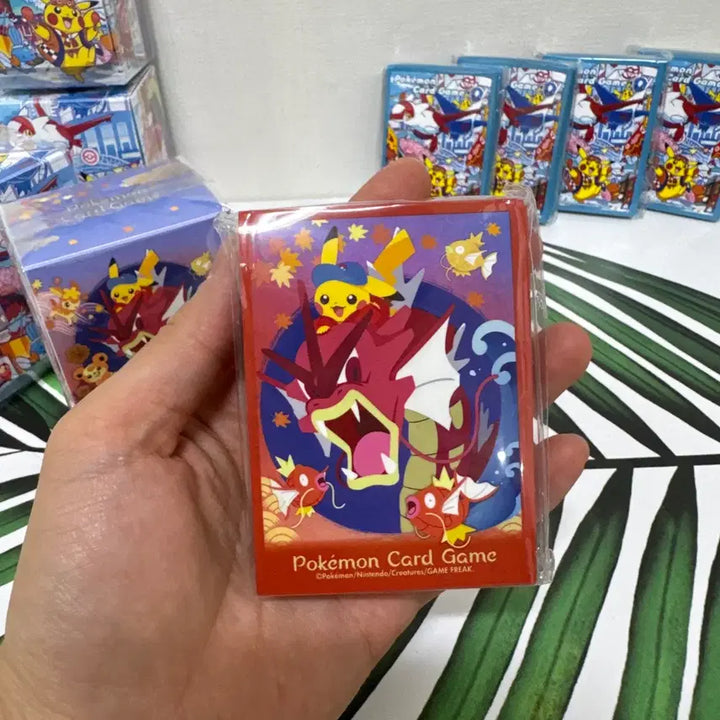 [BUNJANG] Pokemon Fukuoka Hiroshima Limited Edition Deck Case and Sleeve Set / 포켓몬 후쿠오카, 히로시마 덱케이스 및 슬리브 세트