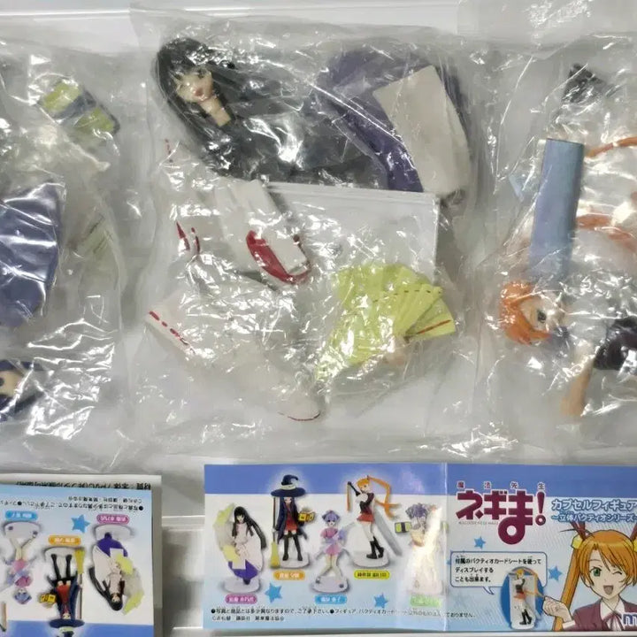 [BUNJANG] Negima! Magister Negi Magi Figure Set (3 Items, Sealed) / 마법선생 네기마 피규어 새상품 미개봉  3개 일괄