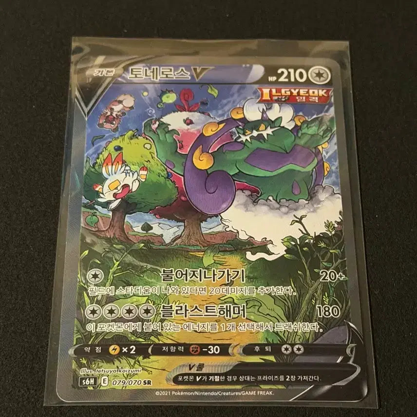 [BUNJANG] Tornadus V SR Special Illustration Pokemon Card / 토네로스 V SR 특일 포켓몬카드