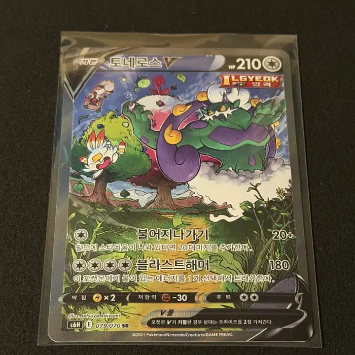 [BUNJANG] Tornadus V SR Special Illustration Pokemon Card / 토네로스 V SR 특일 포켓몬카드