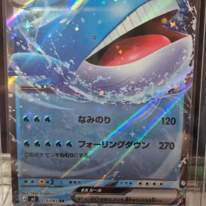 [BUNJANG] Whale King RR SR Set / 고래왕 rr sr 세트