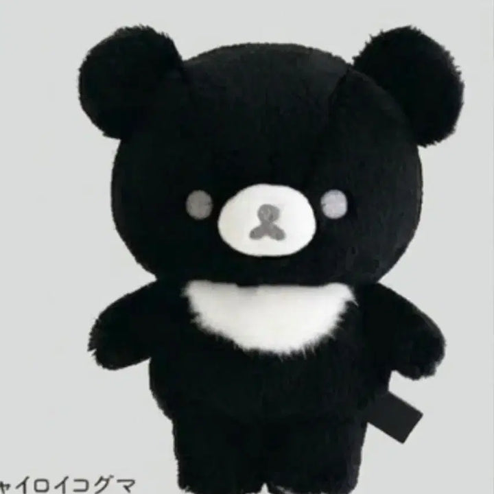 [BUNJANG] Monochrome Koguma Rilakkuma Bread Plush / 모노크롬 코구마 리락쿠마 연탄 탄빵 블랙 검정