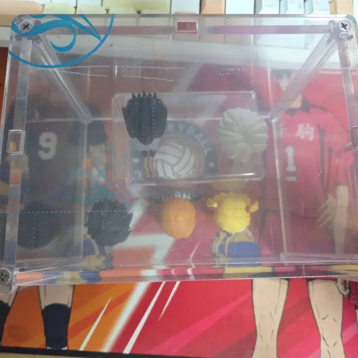 [BUNJANG] Death Note Machi Bokke 5 Types Full Set + Acrylic Case / 데스노트 마치보케 5종 전종세트+아크닐게이스