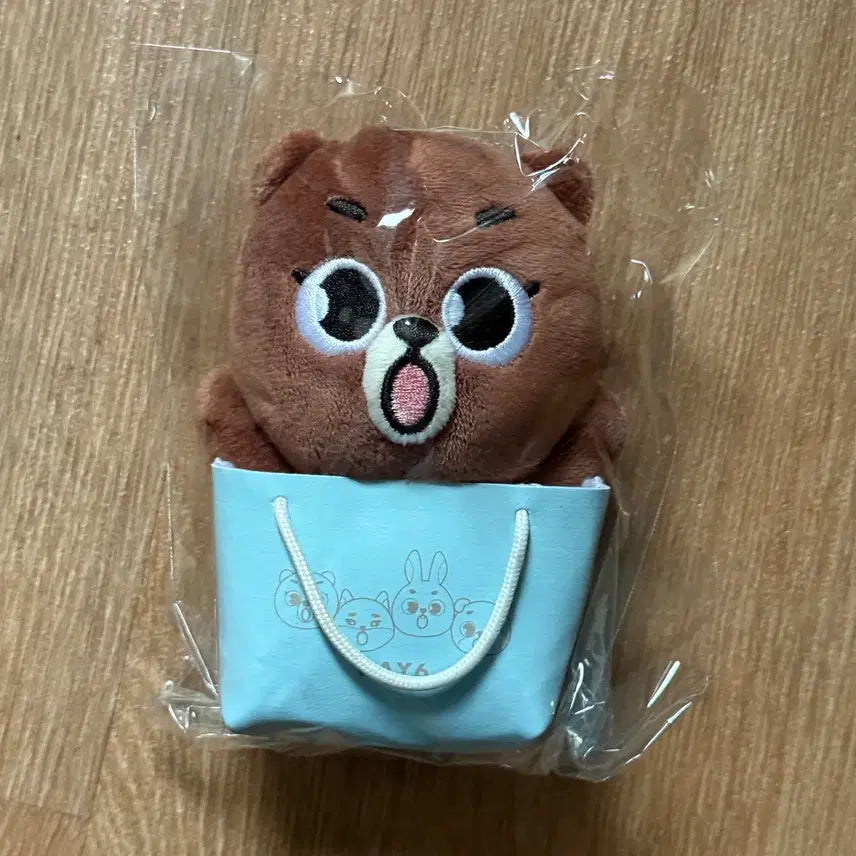 [BUNJANG] DAY6 Japan Bag Charm Sungjin Park / 데이식스 일본 백참 / 데니멀즈 방 성진 박성진