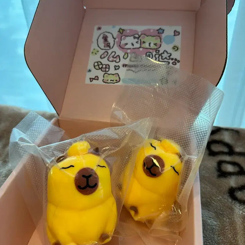 [SOLD OUT] (새상품) 샤오홍슈 카피바라 크런치 말랑이 1개남음